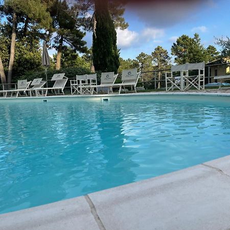 Tuscany Relax H&H - Helly House Apartment San Vivaldo Luaran gambar